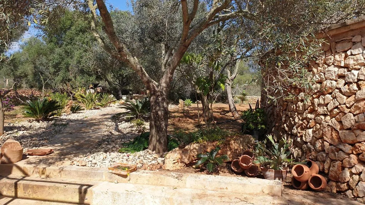 Holiday home Finca Rural Art 9 Villa Ses Salines