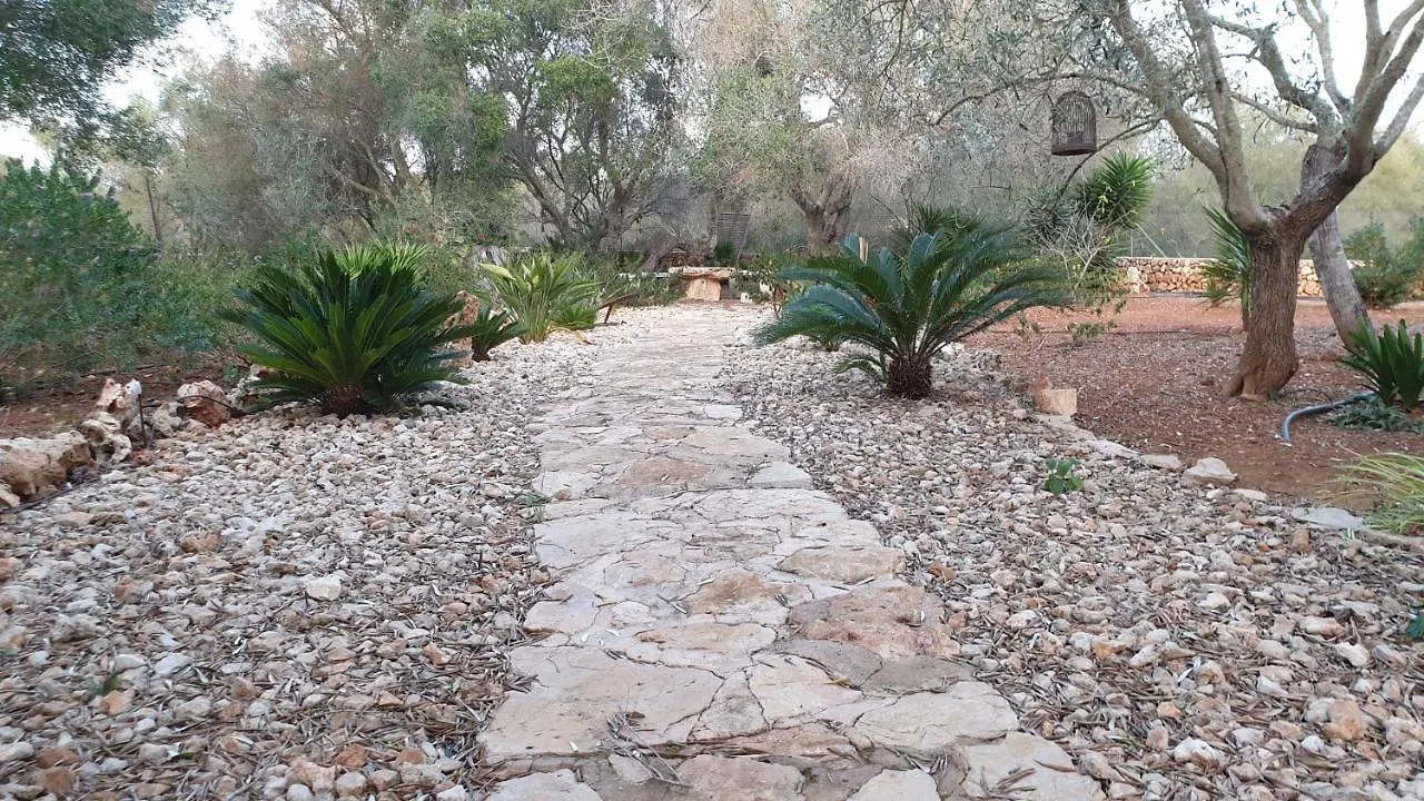 Finca Rural Art 9 Villa Ses Salines  0*, Ses Salines (Mallorca)