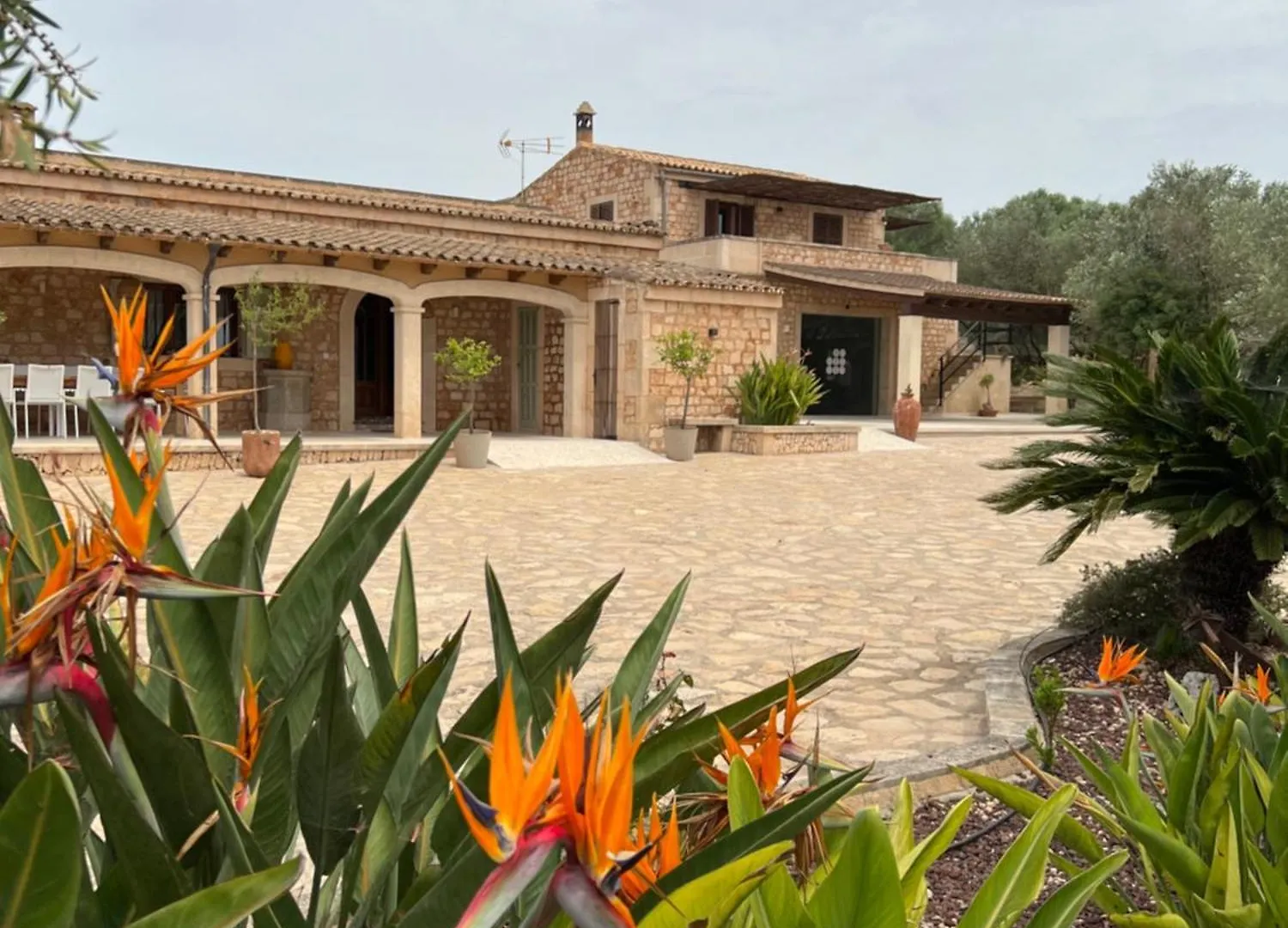 Finca Rural Art 9 Villa Ses Salines  Spain