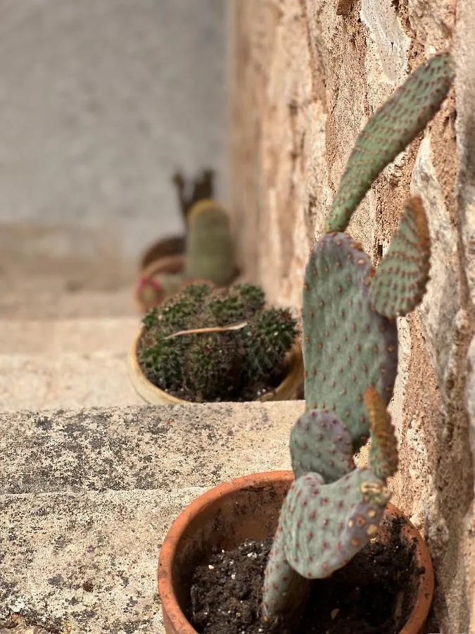 Finca Rural Art 9 Villa Ses Salines  Holiday home