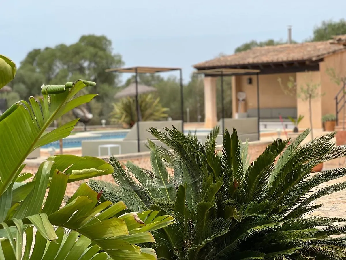 Finca Rural Art 9 Villa Ses Salines  0*, Ses Salines (Mallorca) Spain
