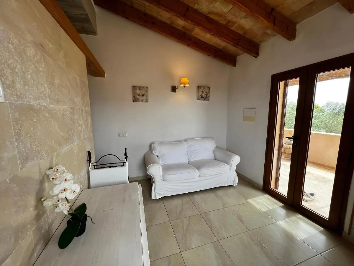 Finca Rural Art 9 Villa Ses Salines  0*, Ses Salines (Mallorca)